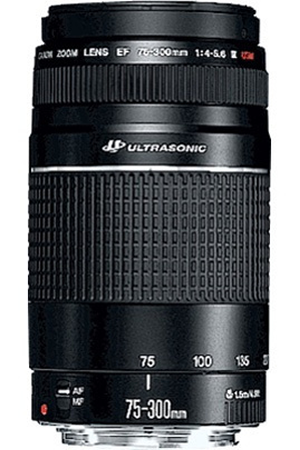 Appareil photo Reflex CANON EOS 2000D + 18-55 IS II + 75-300 + CANON EF 50/1.8 STM