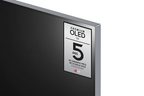 TV OLED LG OLED65G2 4K UHD 65'' SMART TV NOIR